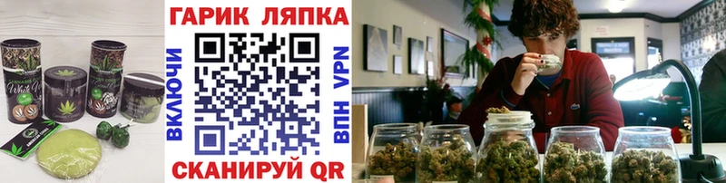 Canna-Cookies конопля  Пересвет 